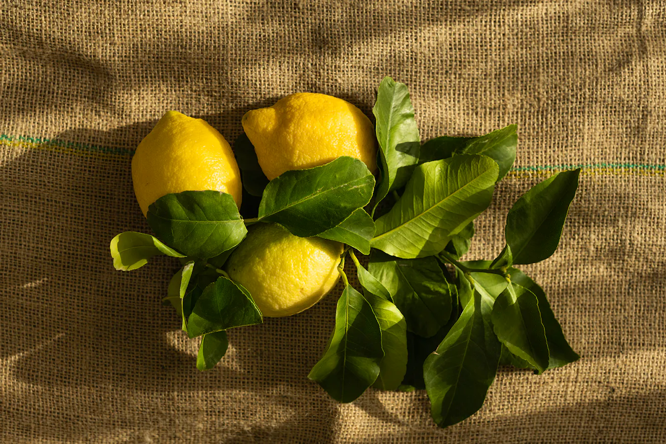 Lemon Recipes Monika-grabkowska-qc6yB1Il-zM-unsplash Copy