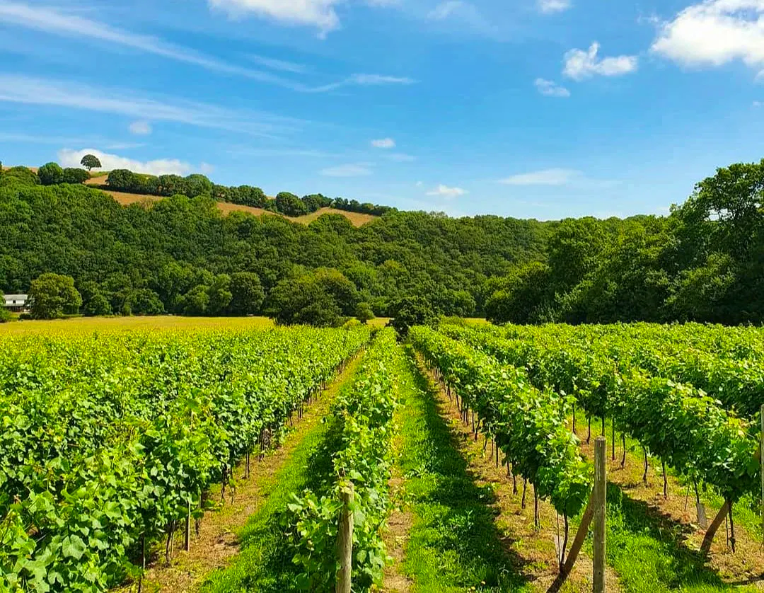 Local Heroes Leon Crag Swanaford Winery