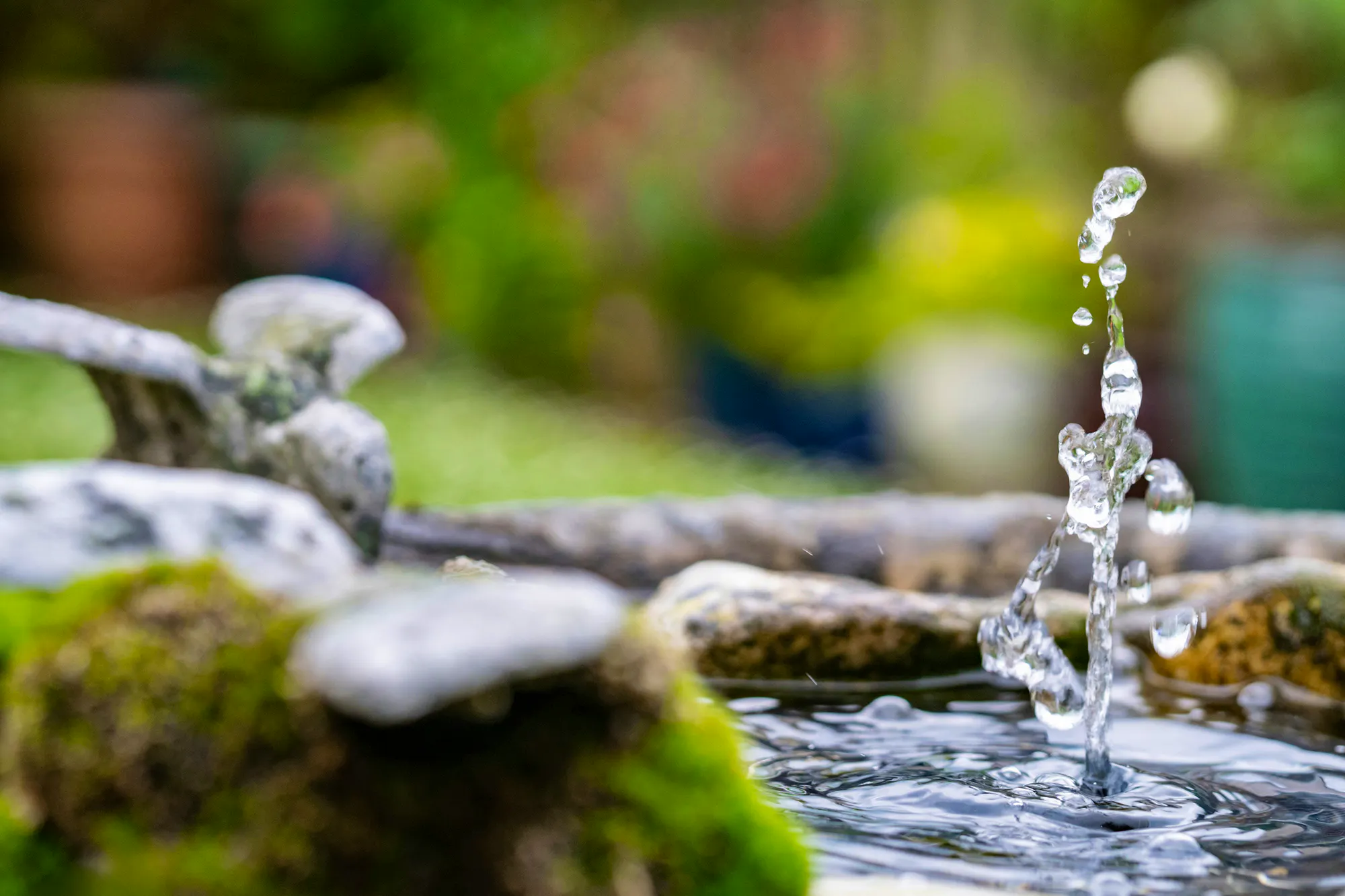 Outdoor Features That Add Instant Character To A Property Geraldine-dukes-YarVqSvgC_8-unsplash Copy