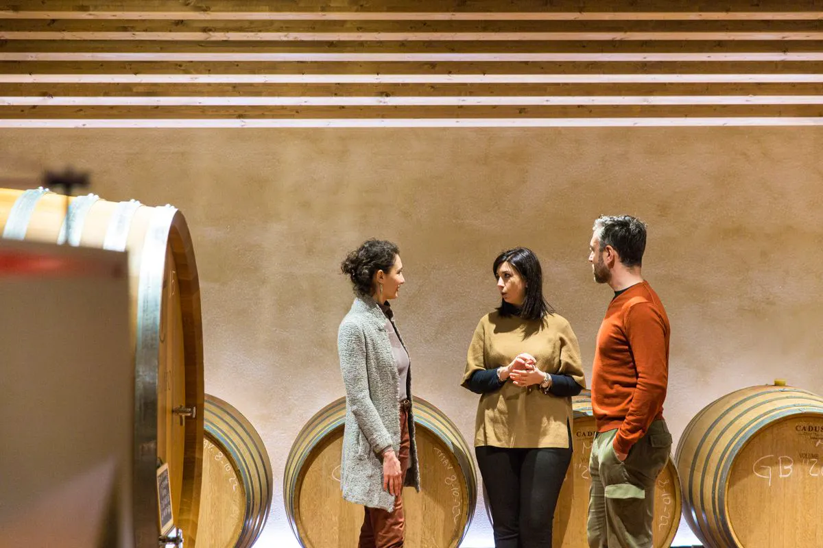 Lux Travel Book Wine Tasting At Luxury Villa Experience