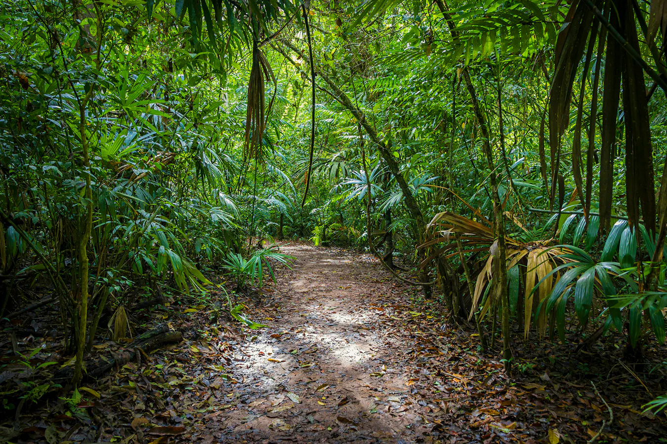 Travel Holidays That Give Back Isaac-quesada-6xxxvB72qB0-unsplash