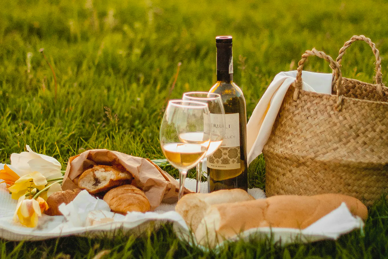 Picnic Accessories 2026 Kateryna-hliznitsova-GyE2Iuk3j9g-unsplash Copy