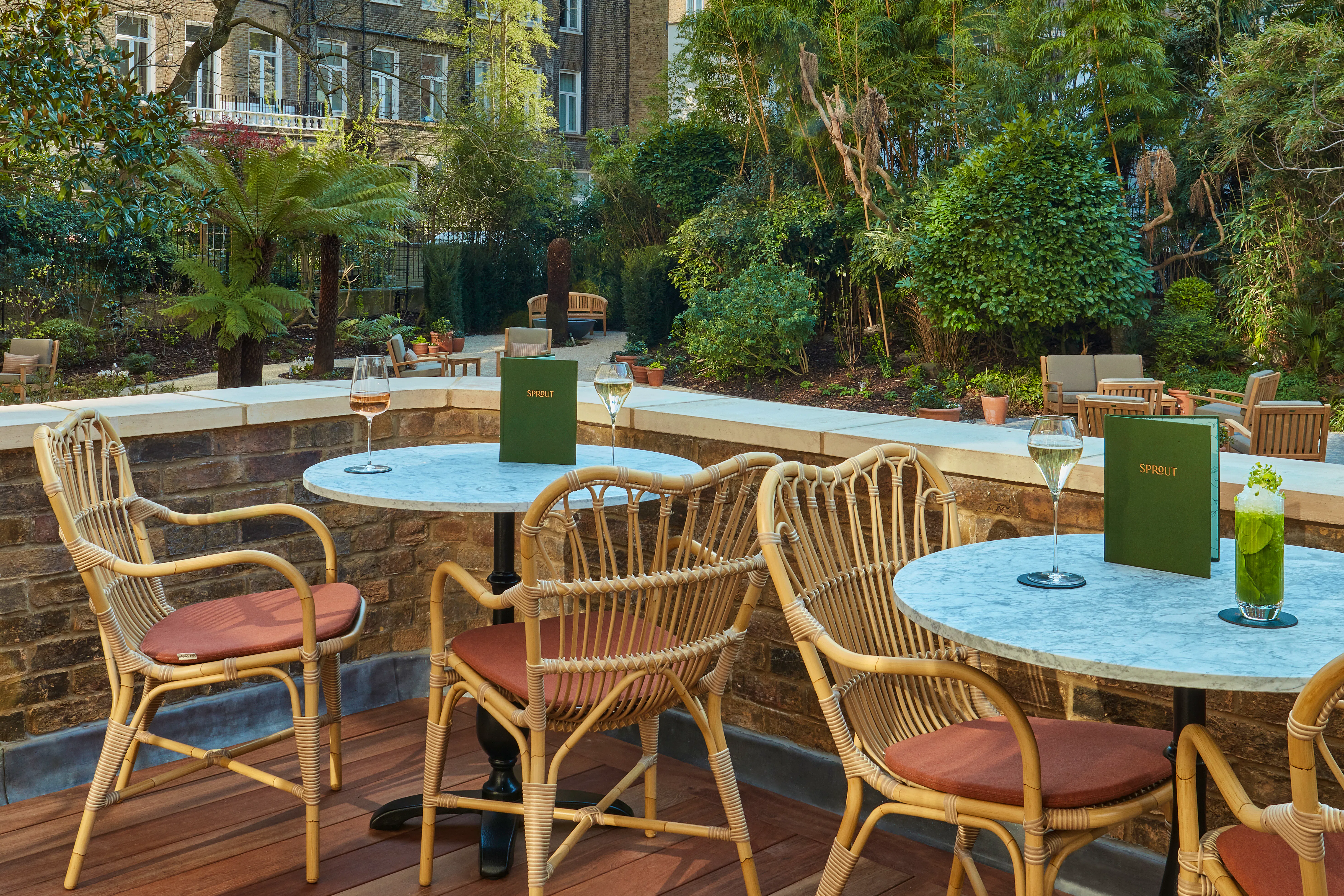Sprout Terrace
