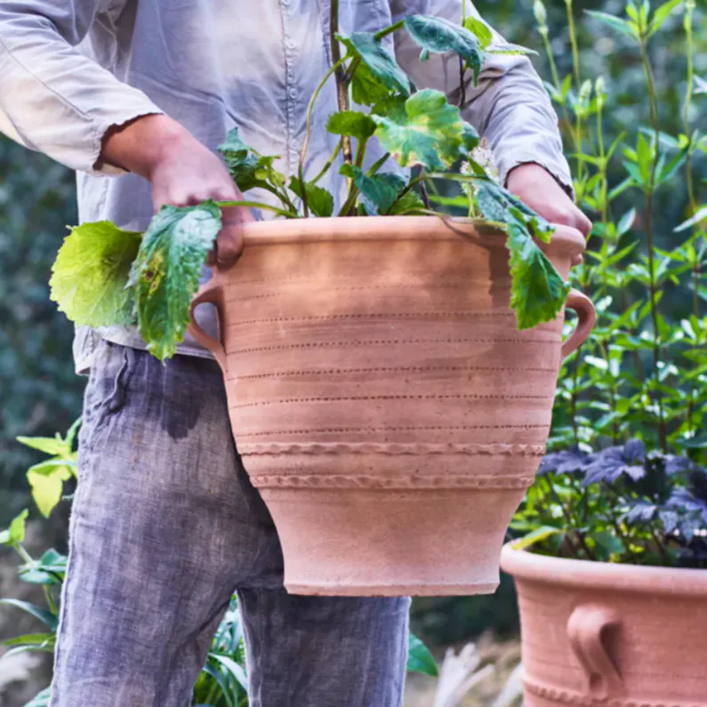 Rowen & Wren Thrapsano Terracotta Pot, £44