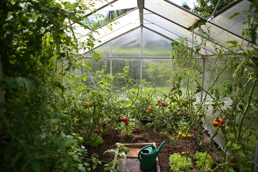 The Garden Jobs To Do Right Now