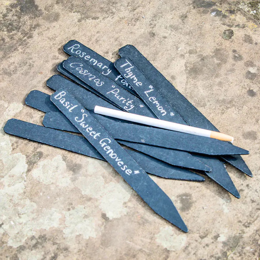 Sarah Raven Blackboard Plant Labels, £16.95