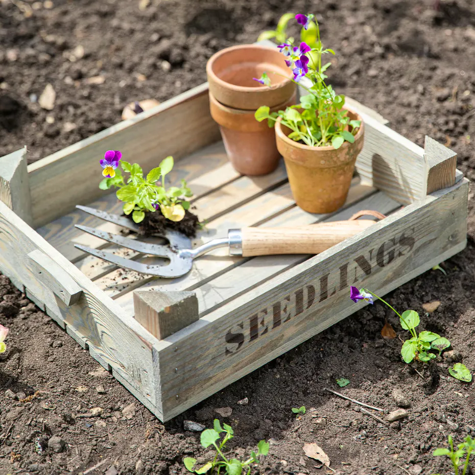 Garden Trading Aldsworth Wooden Seedlings Tray, £20