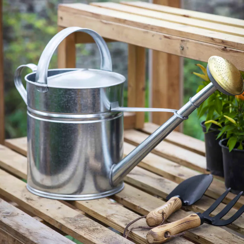 Garden Trading Galvanised Watering Can, £45