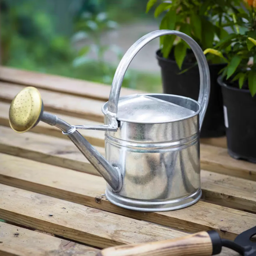 Classic Watering Can 1.5L - Galvanised Steel £25
