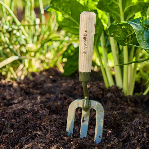 BoronGreen Hand Fork - RHS Endorsed £8.99