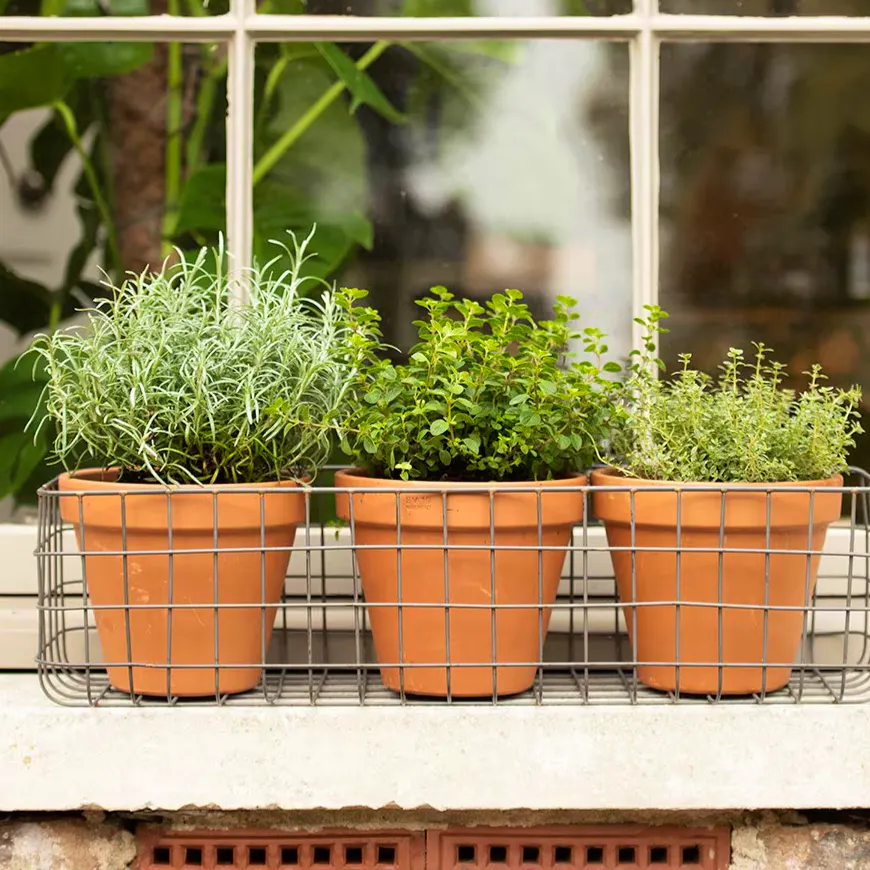 Pot Window Basket £29.99