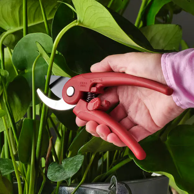 BRYTBÖNA Secateurs, Bright Red £4