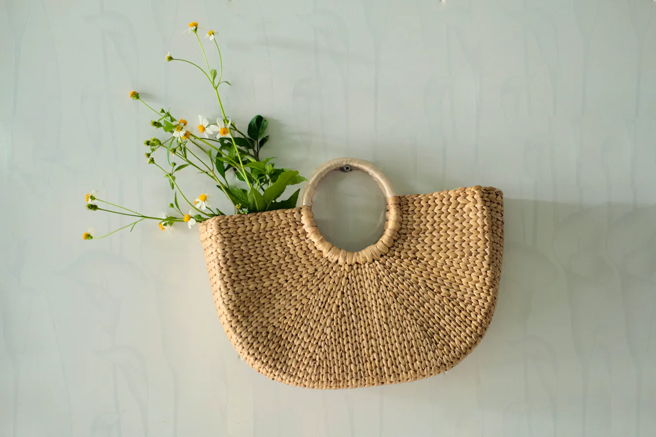 Basket Case