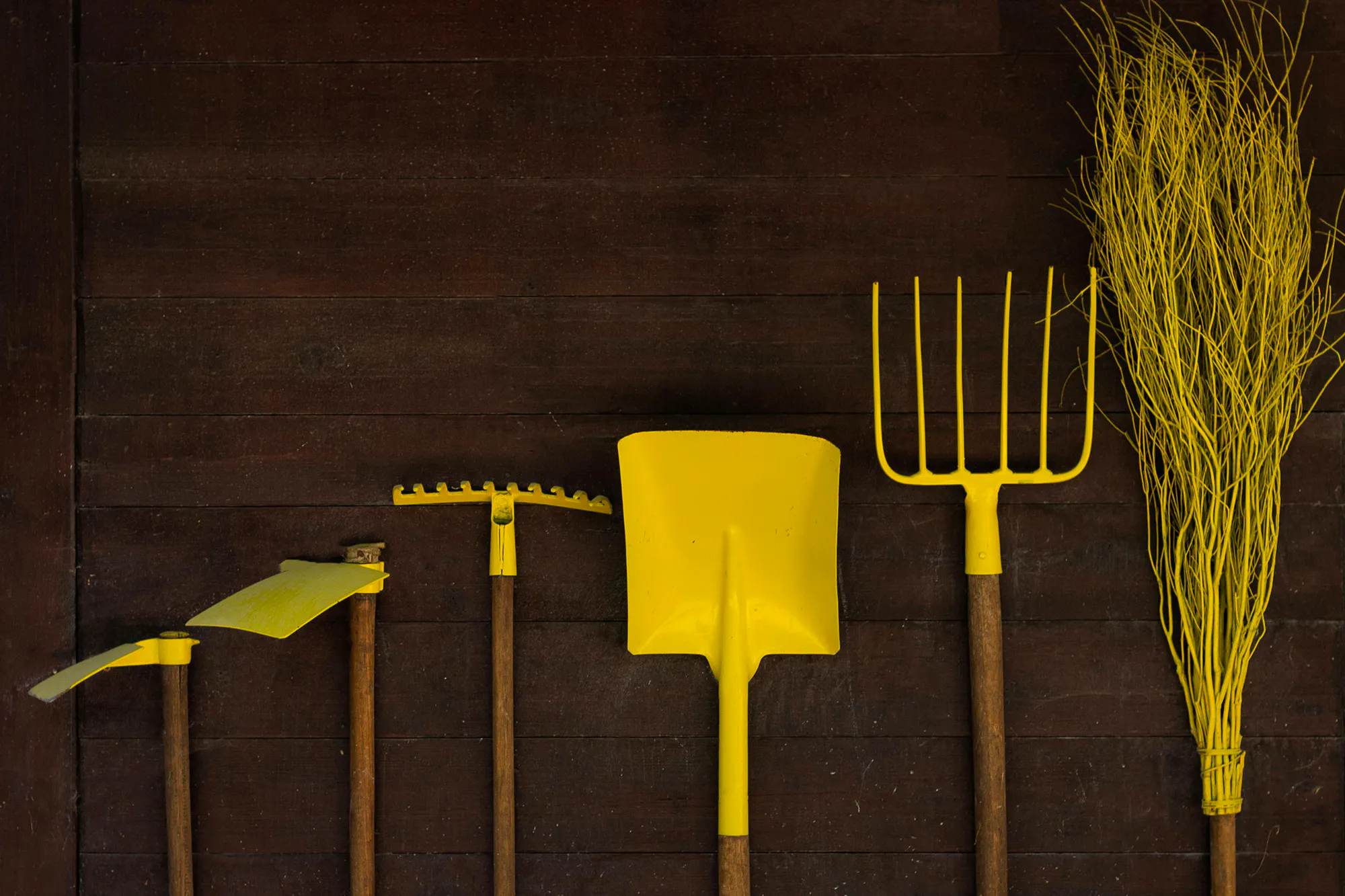 100 Pound Garden Haul Luis-feliciano-9EH5AkClwZ0-unsplash Copy