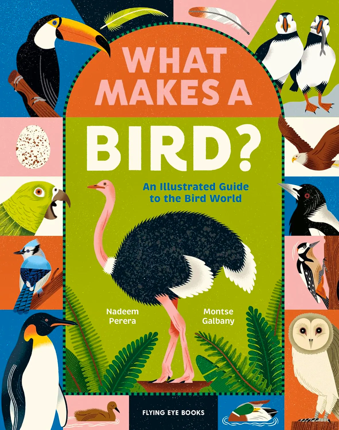 What Makes A Bird?- An Illustrated Guide To The Bird World