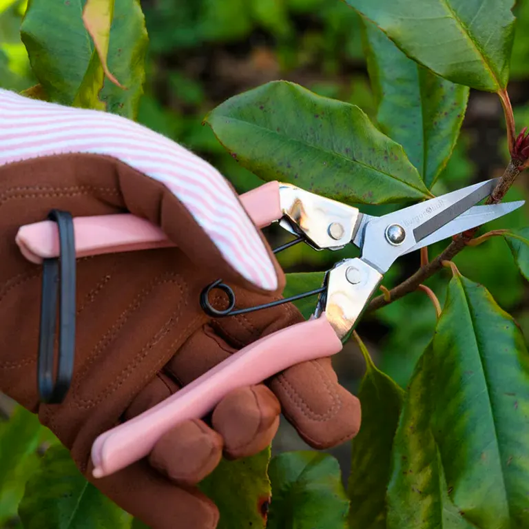 The Worm That Turned Flower Snips Blush Pink, £14.95