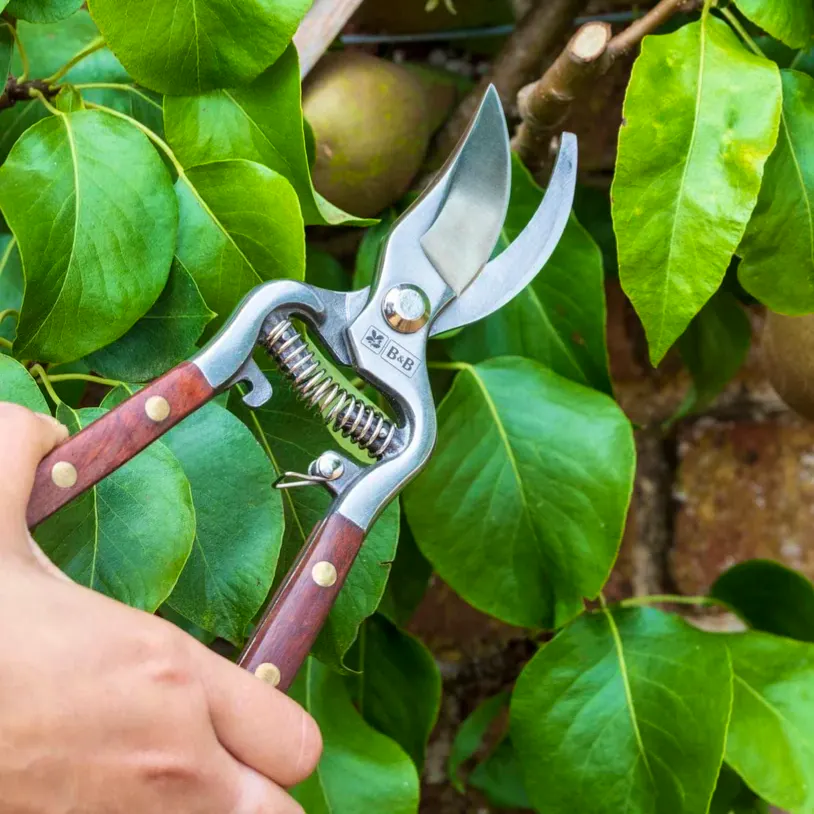 Burgon & Ball Secateurs, £23.99