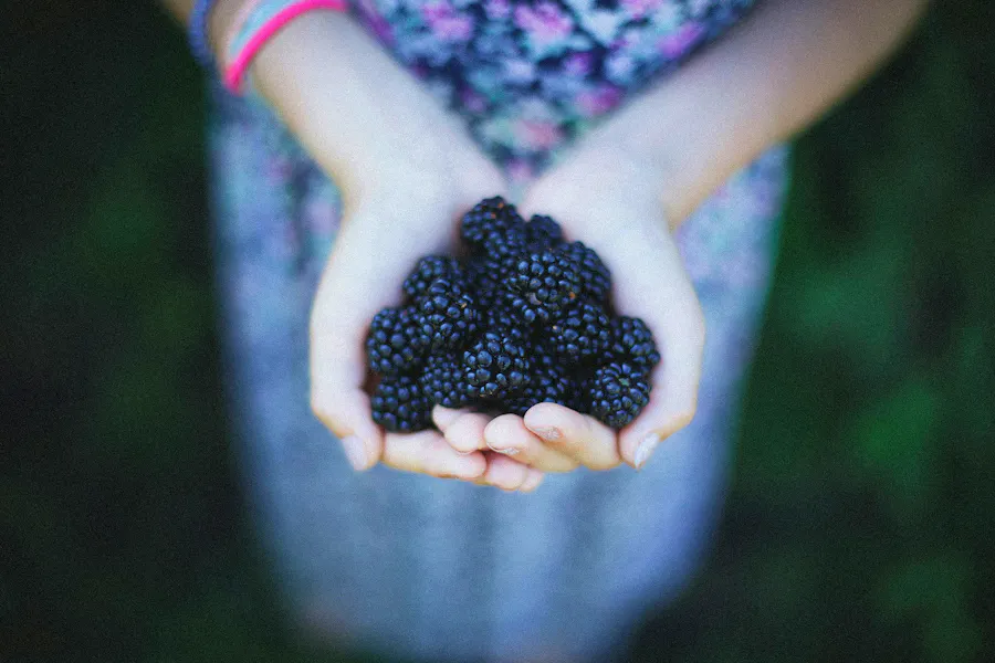 Blackberry Recipes Nine-koepfer-oAAE80J0dRk-unsplash Copy