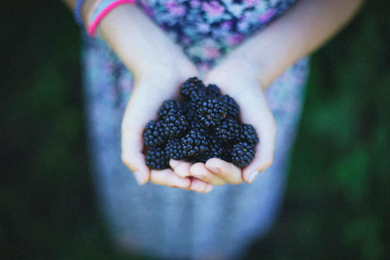 Blackberry Recipes Nine-koepfer-oAAE80J0dRk-unsplash Copy