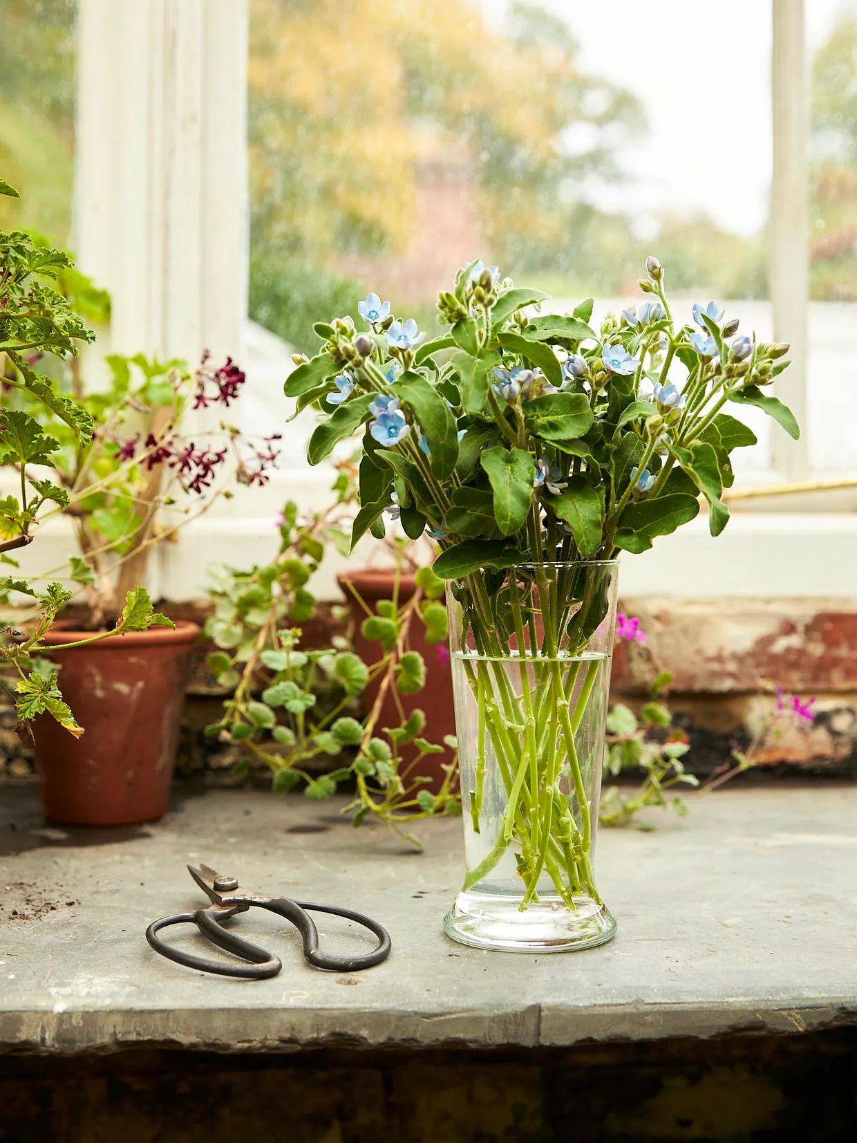 Flower Glass No 3