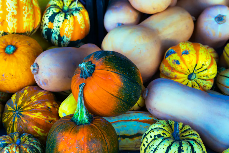 Recipes For The First Chilly Evenings