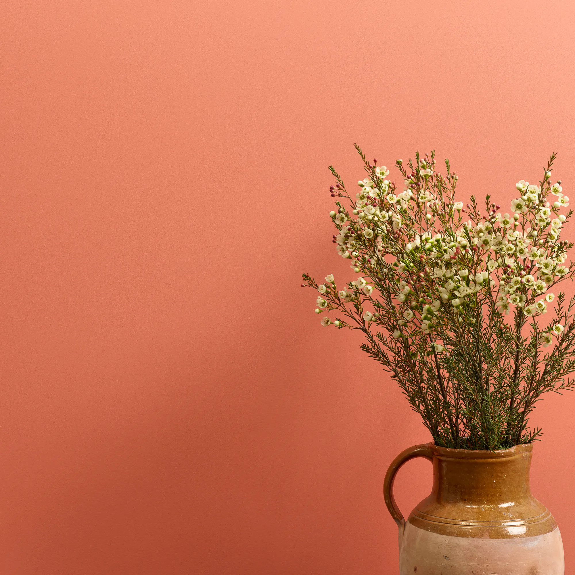 Earthy-0246