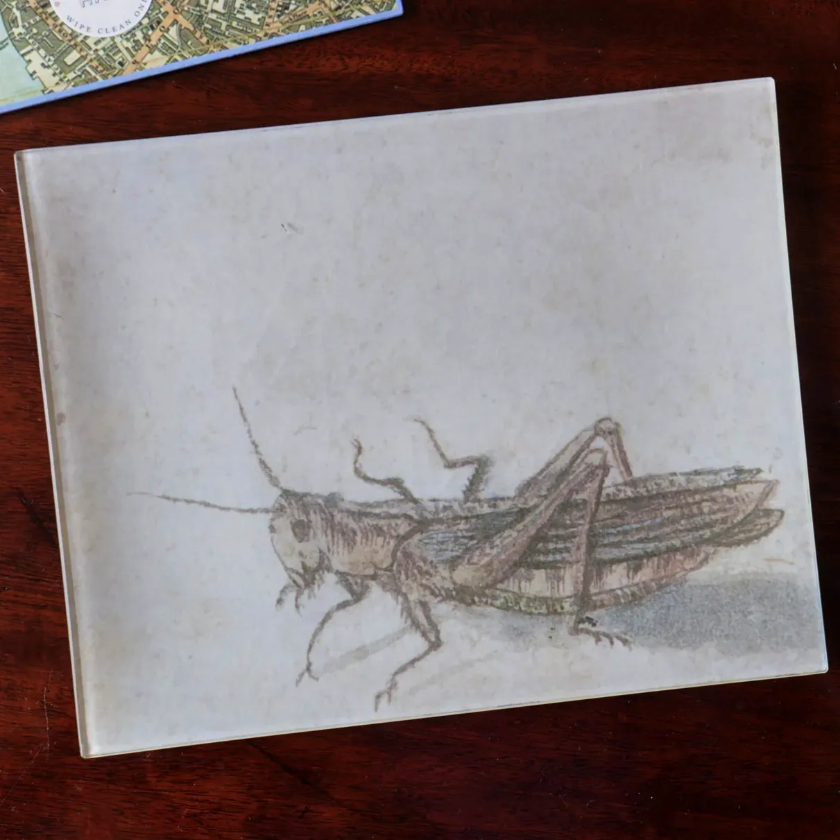 Pentreath & Hall Bridie Hall Grasshopper Decoupage Tray, £125