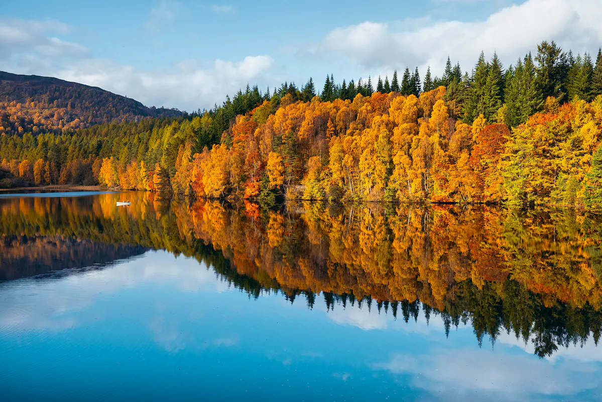 Autumn Colours Scotland Joshua-earle-8s6CVtU7XpQ-unsplash Copy