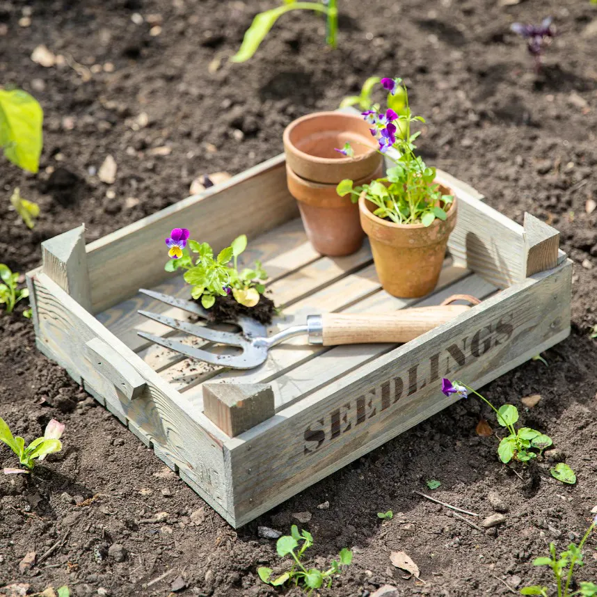 Garden Trading Aldsworth Wooden Seedlings Tray - Spruce, Natural, £20