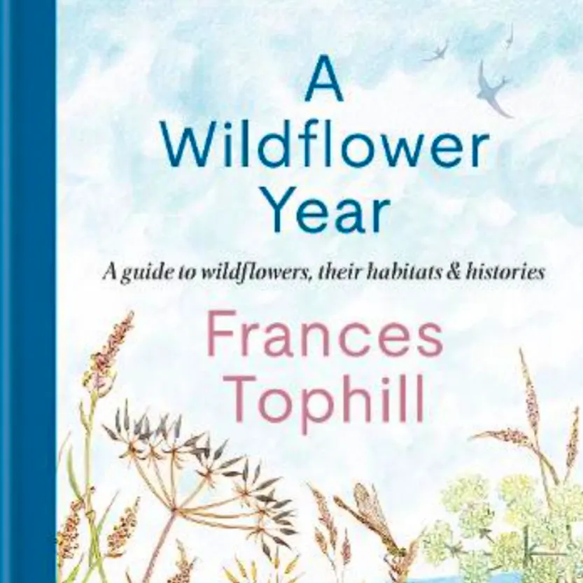 Waterstones A Wildflower Year: A Guide to Wildflowers, their Habitats & Histories, £18.99