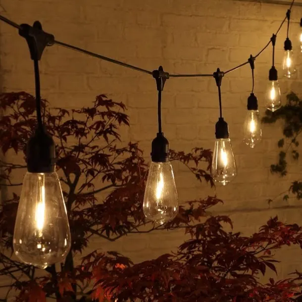 Noma 20 Large Hanging Edison Bulb Festoon Lights, Warm White, £74.99