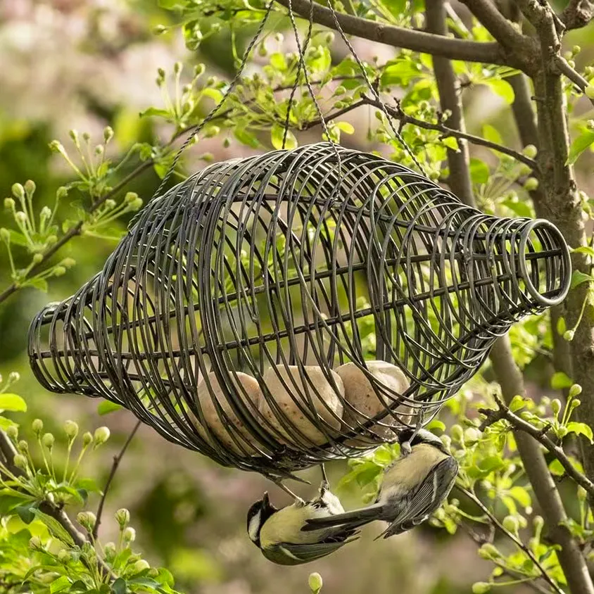 RHS Squirrel Resistant Bird Feeder, £22.99