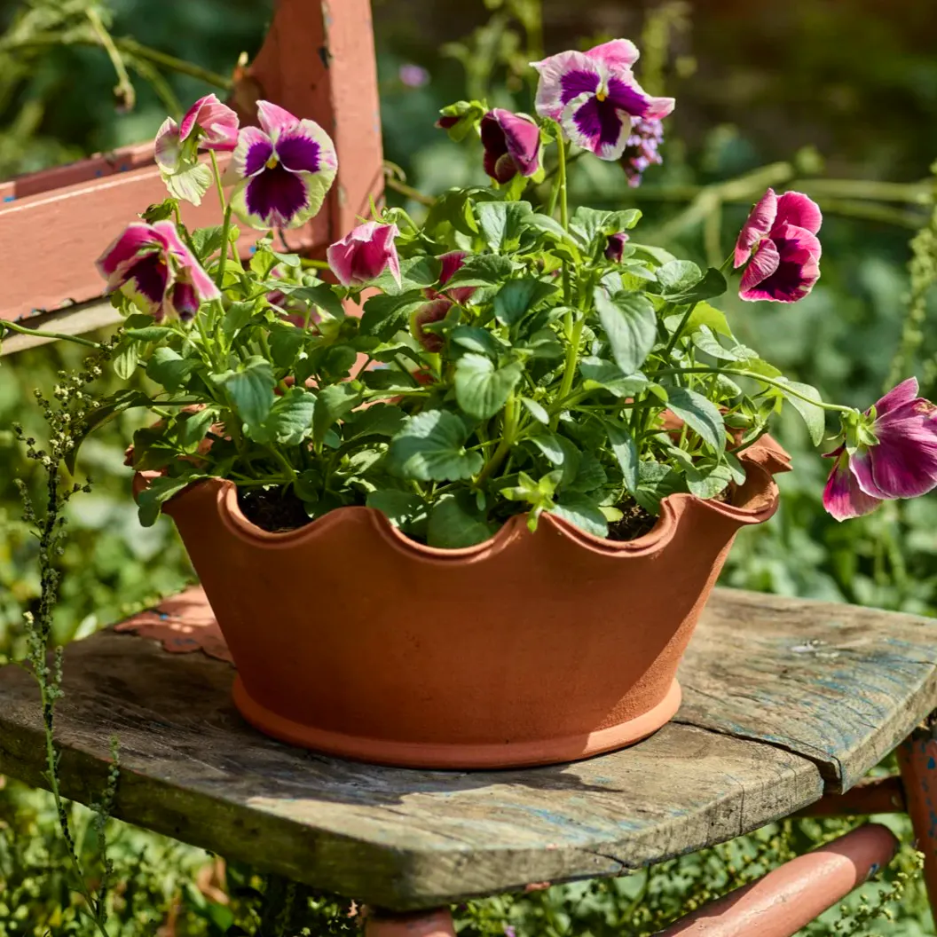 Rowen & Wren Eden Terracotta Pot, Low, £38