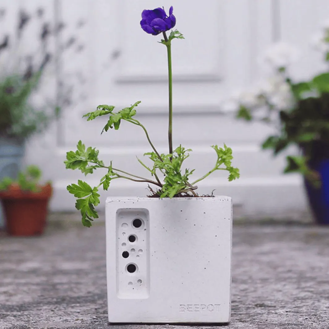 Green and Blue Beepot and Bee House Wild Care, £38.58