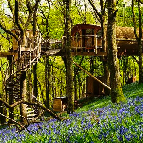 Two Night Treehouse Escape Activity Store, £399