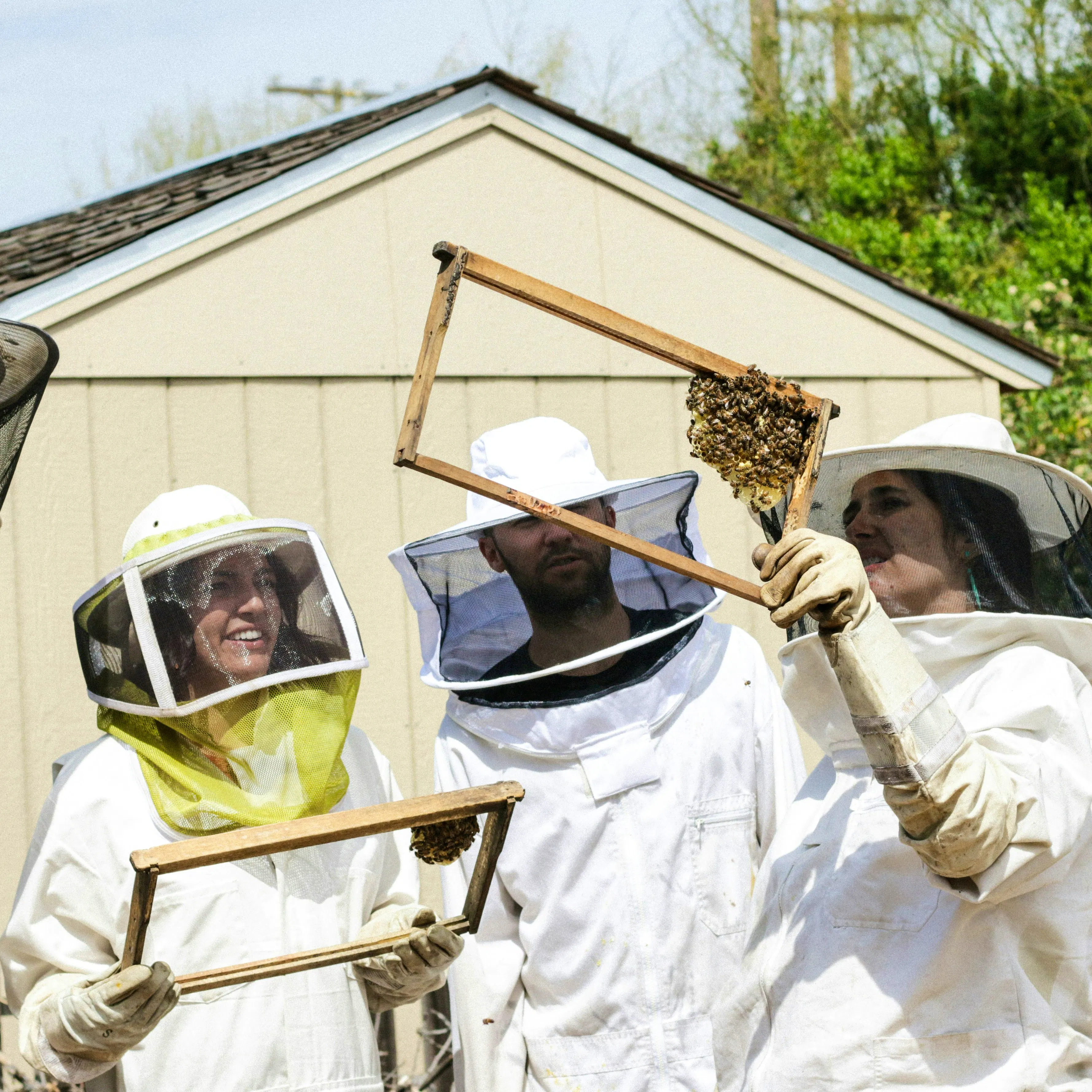 Hiver’s Beekeeping Taster Virgin Experience Day, £46