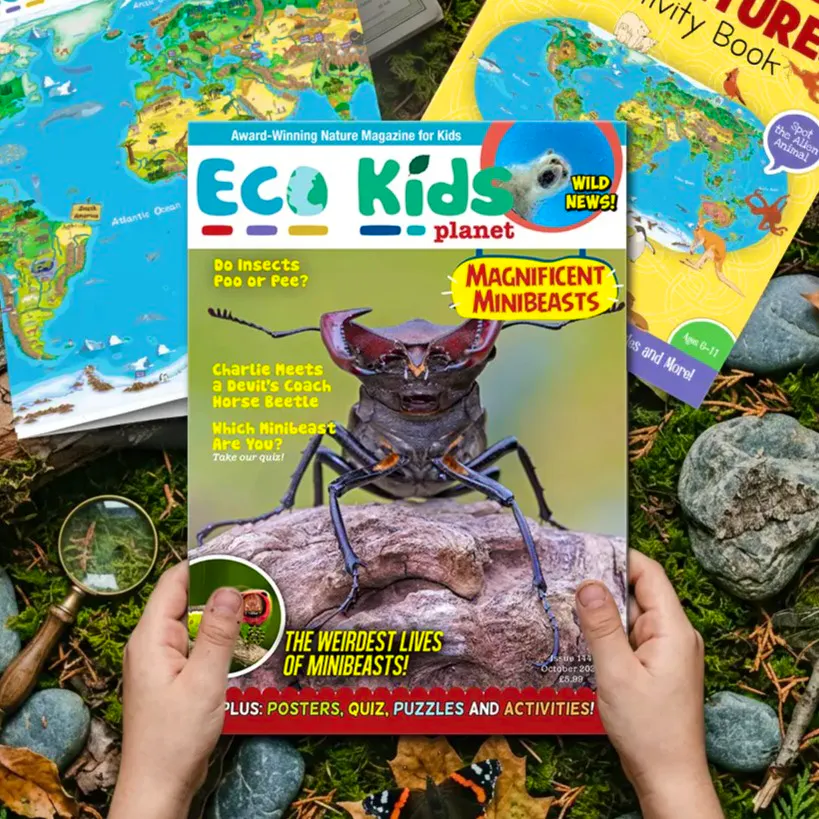 Ecko Kids Planet Magazine Gift Subscription Eco Kids Planet, £334.99