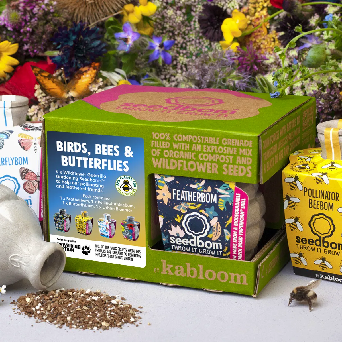 Seed Bom Birds Bees and Butterflies Gift Box Kabloom, £16.95