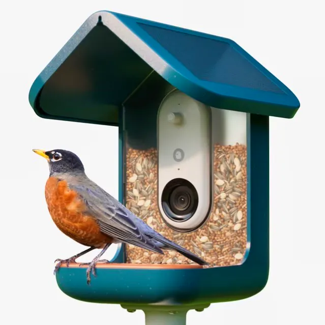 Bird Buddy PRO Camera Bird Feeder, £250