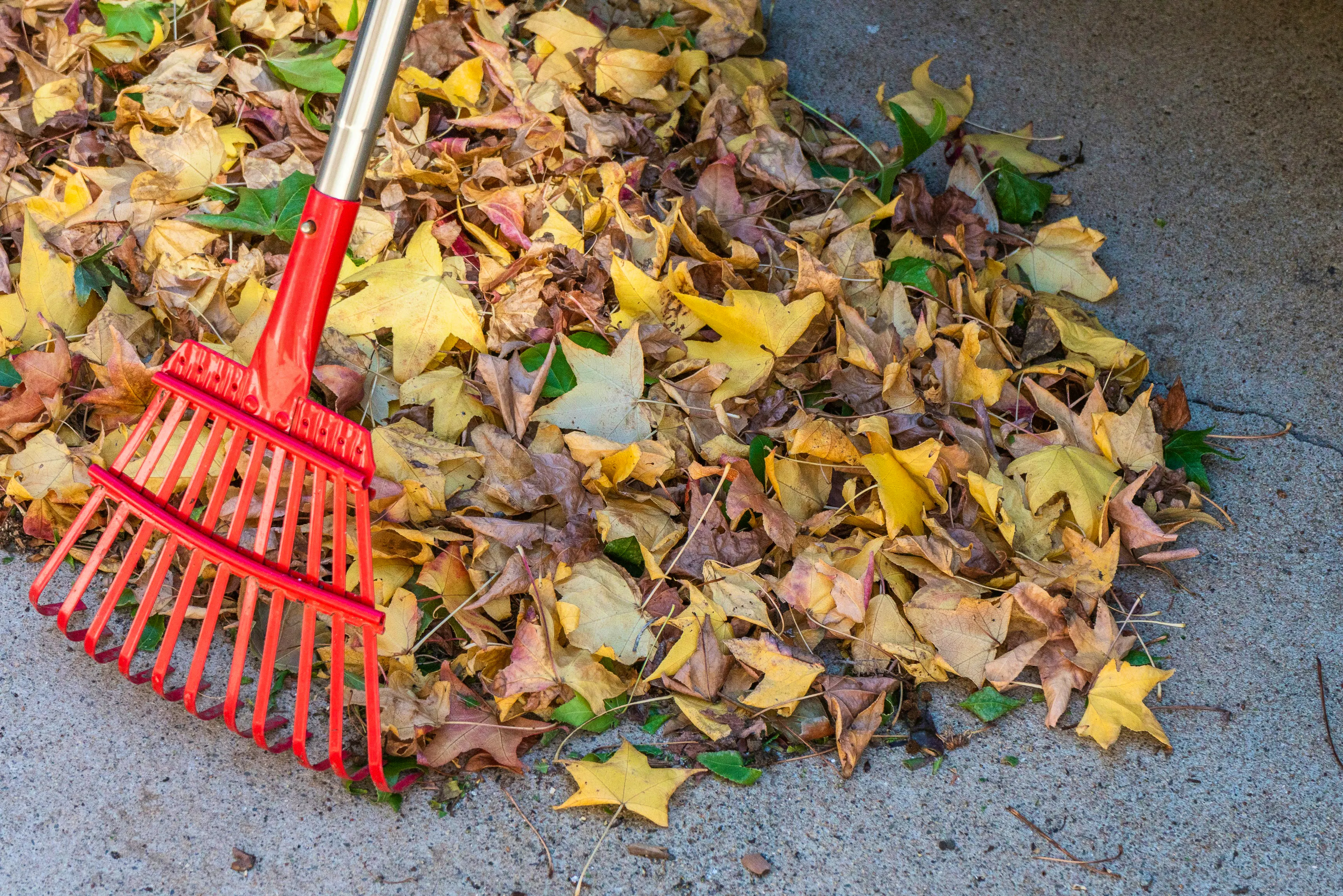 RAKING
