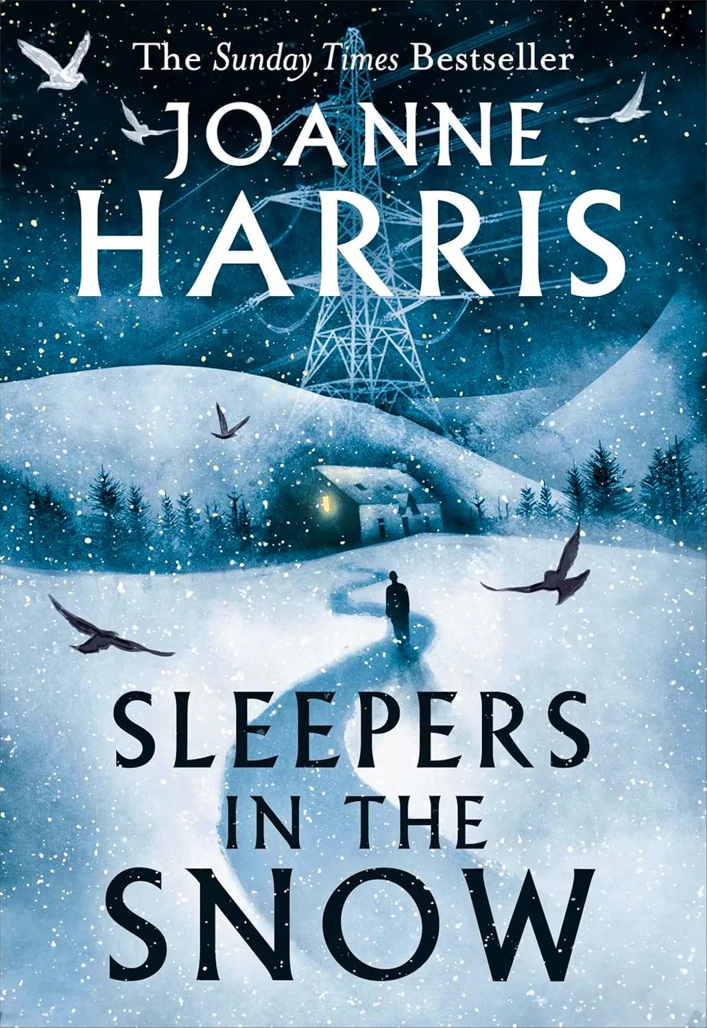 Sleepers In The Snow